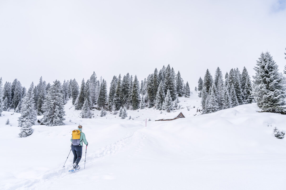 Schneeschuhwanderung Toggenburg