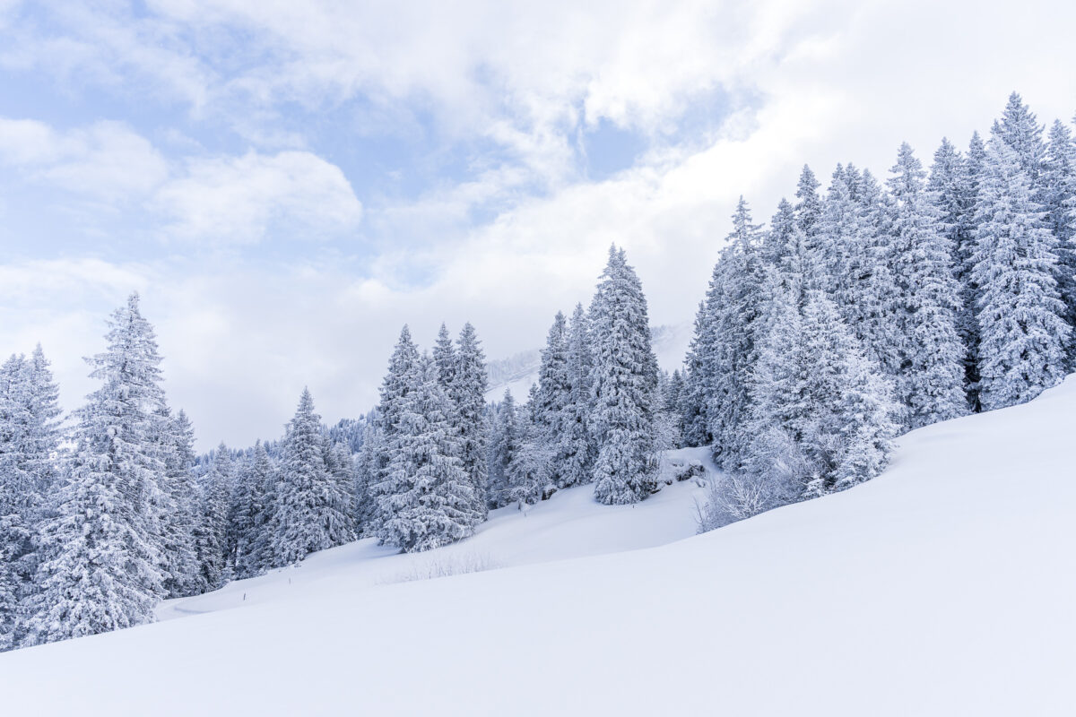 Winter im Toggenburg