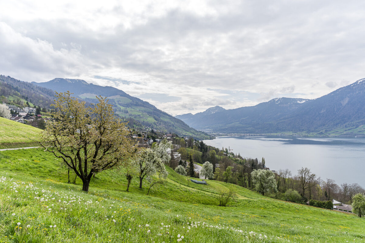 Wanderweg nach Walchwil
