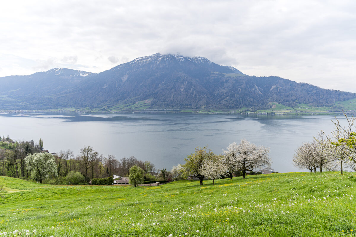 Panorama Rigi und Zugersee