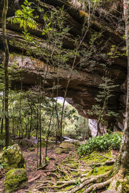 Wanderweg zum Moro do Castelo (Burgberg)