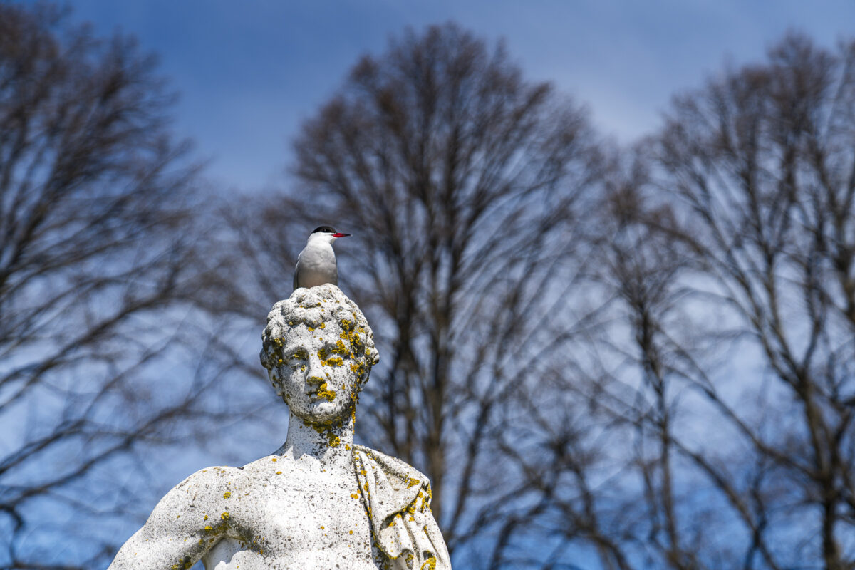 Skulptur im Schlossgarten Drottningholm