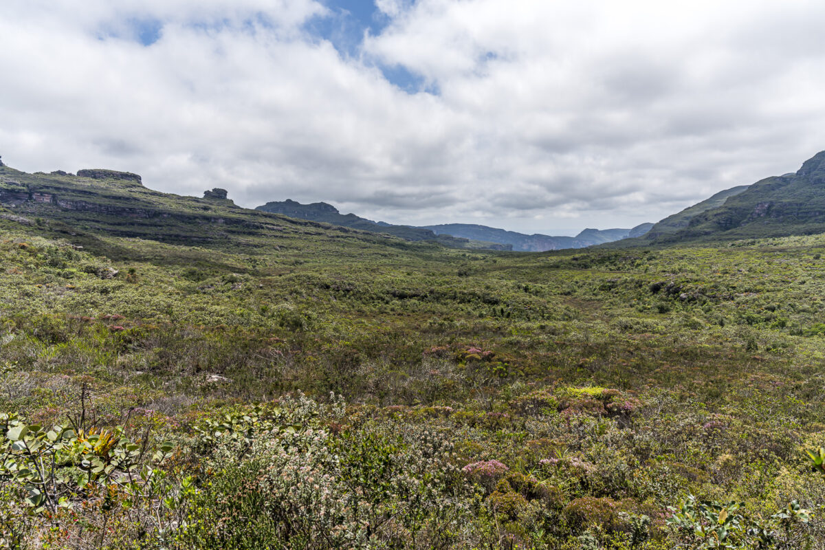 Hochebene Chapada Diamantina