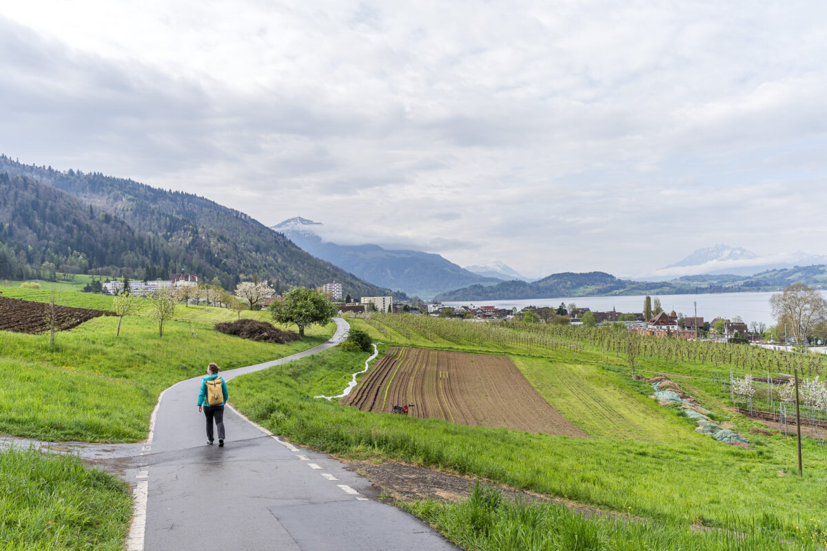 Wanderweg Zug-Walchwil