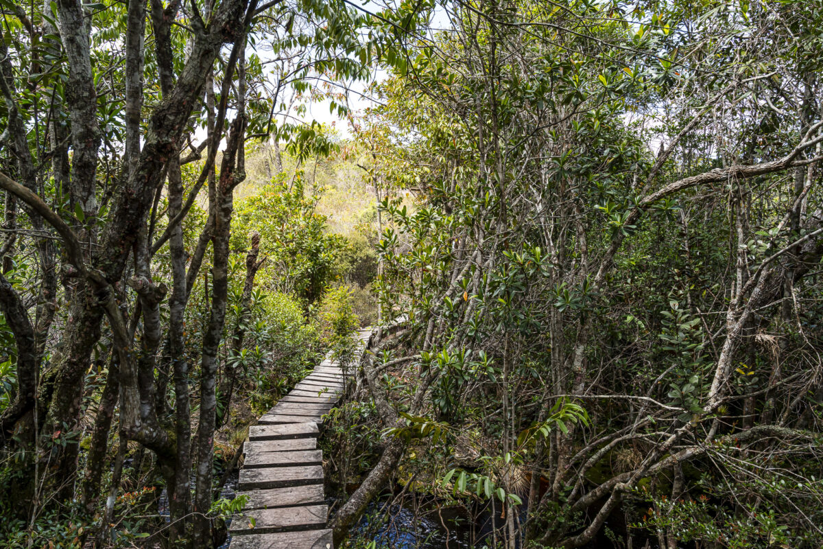 Wanderwege in Brasilien