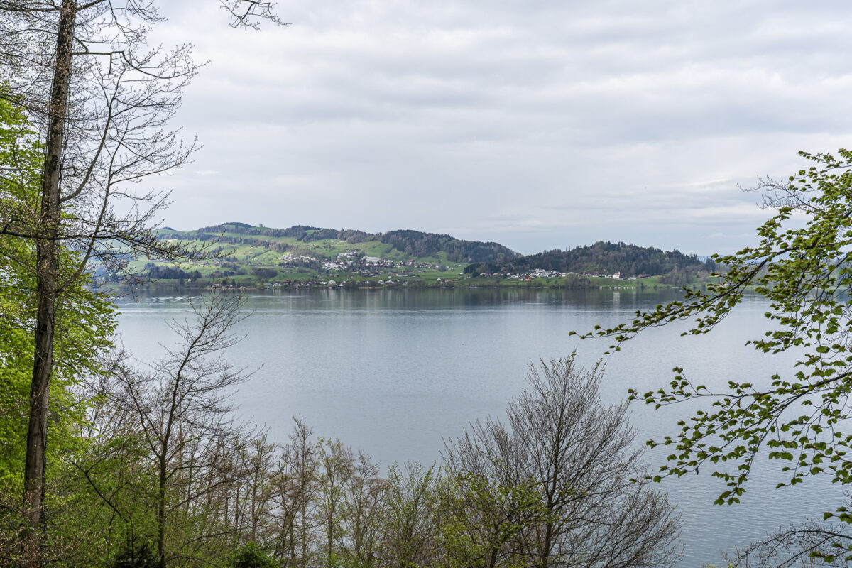 Blick auf den Zugersee