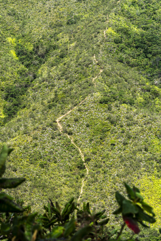 Wanderweg im Vale do Pati