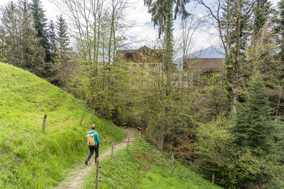 Wanderung von Zug nach Walchwil