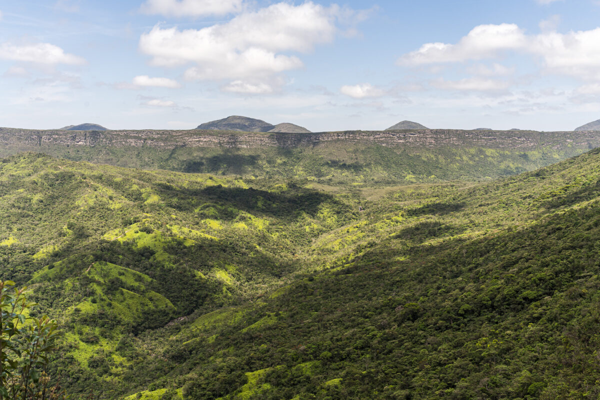 Chapada Diamantina Trekking