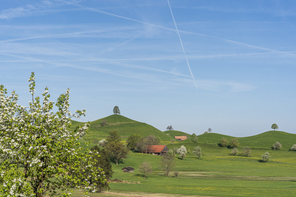 Moränenhöcker bei Menzingen
