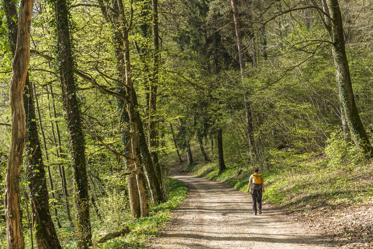 Waldweg von Nuglar nach Büren