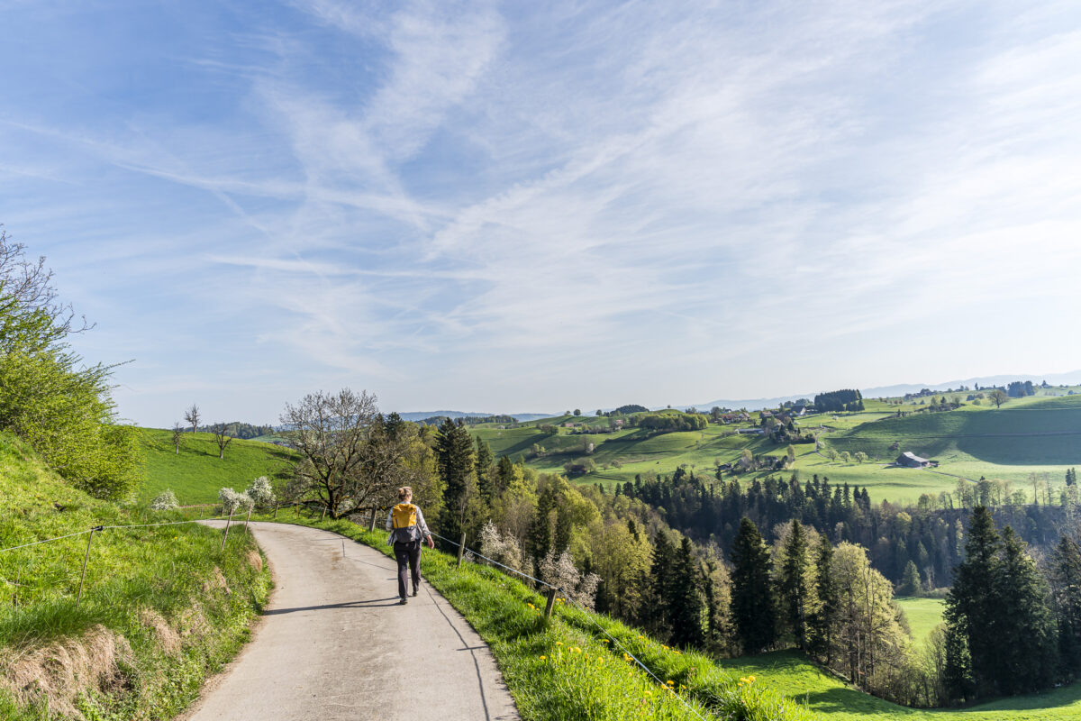 Aussicht aufs Sihltal