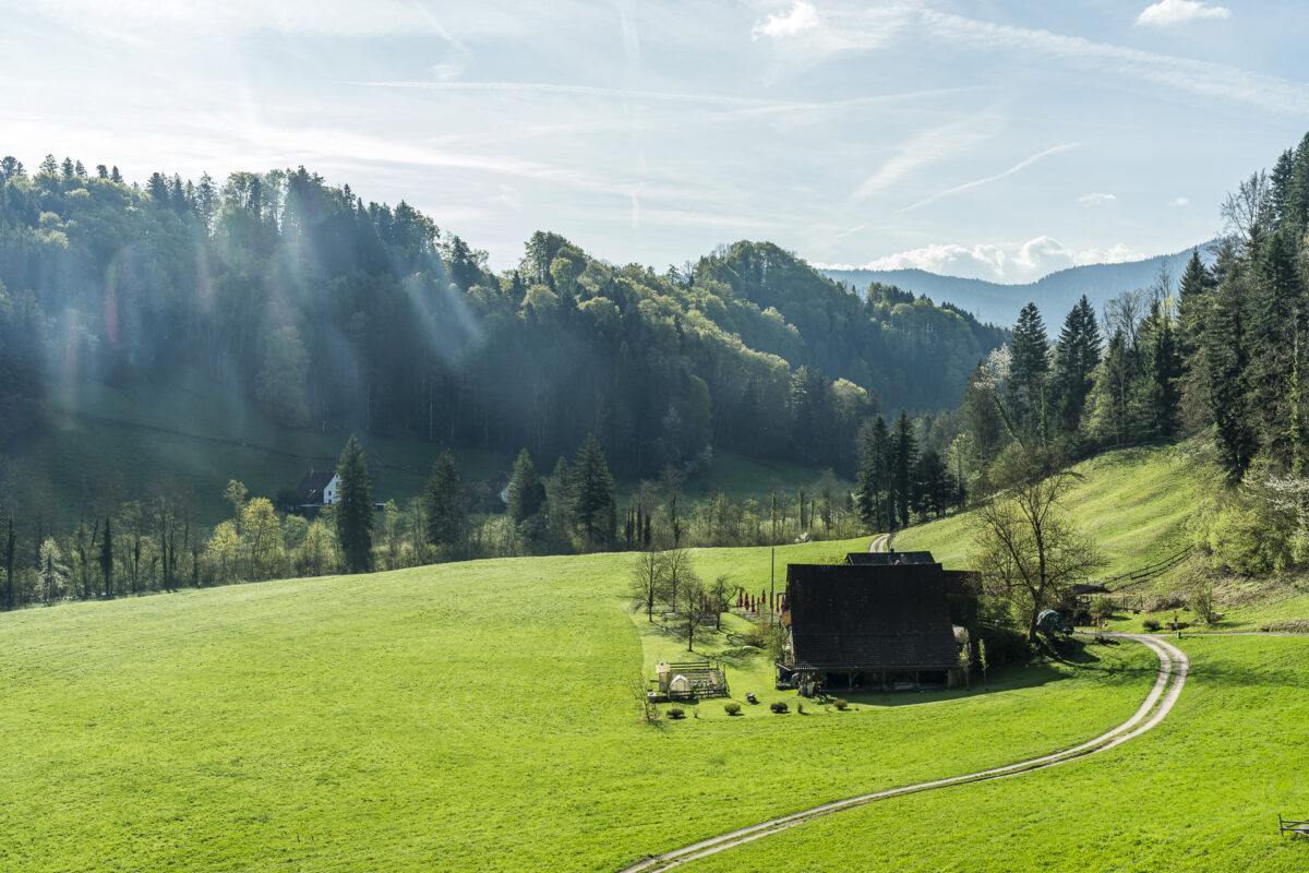 Sihlmatt Menzingen