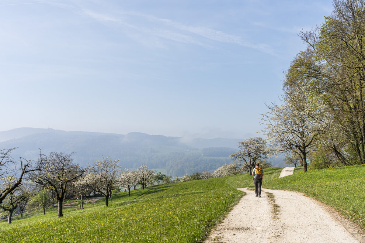 Wanderweg nach Büren