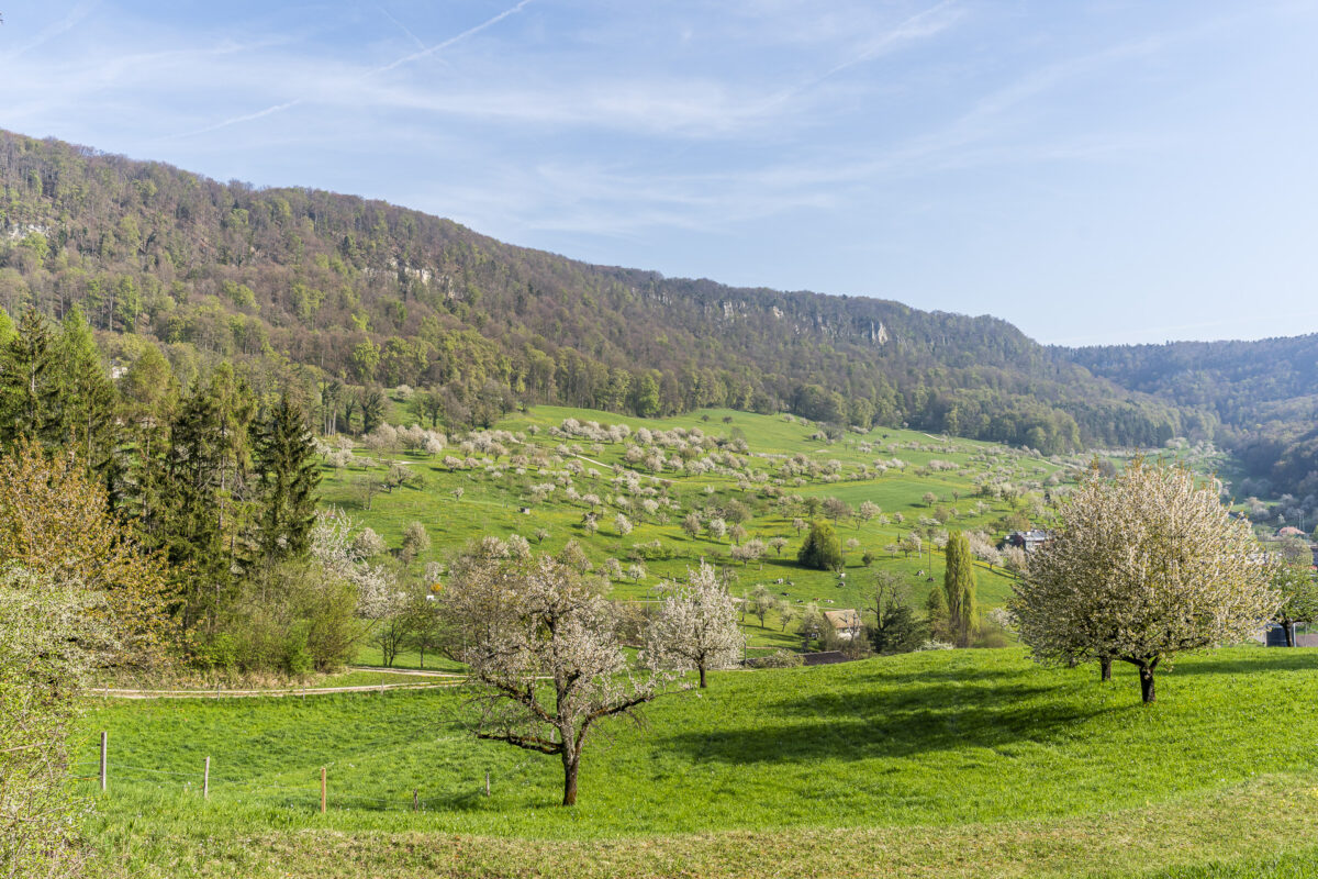Büren Solothurn