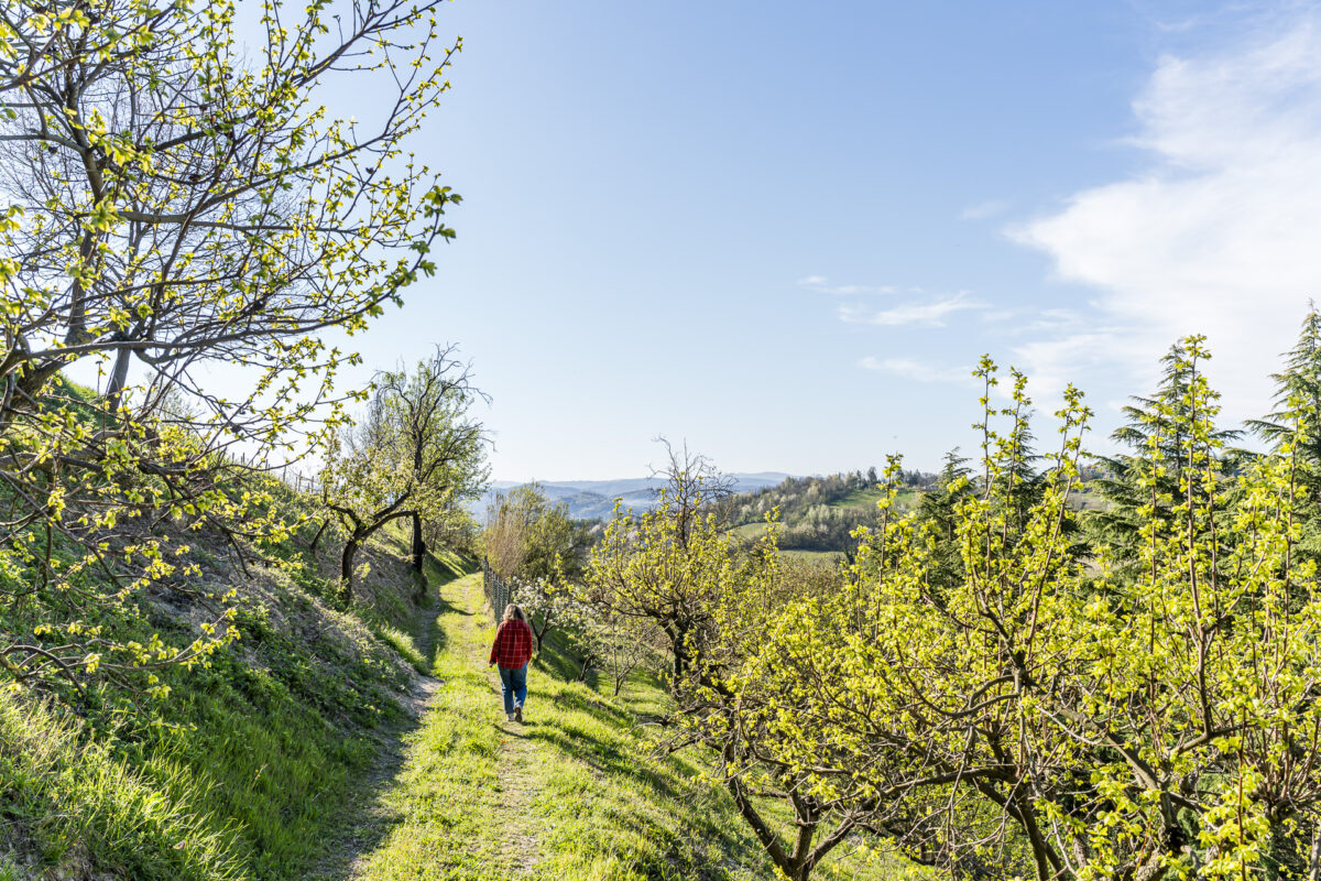 Spaziergang durch den Garten von Giarvino