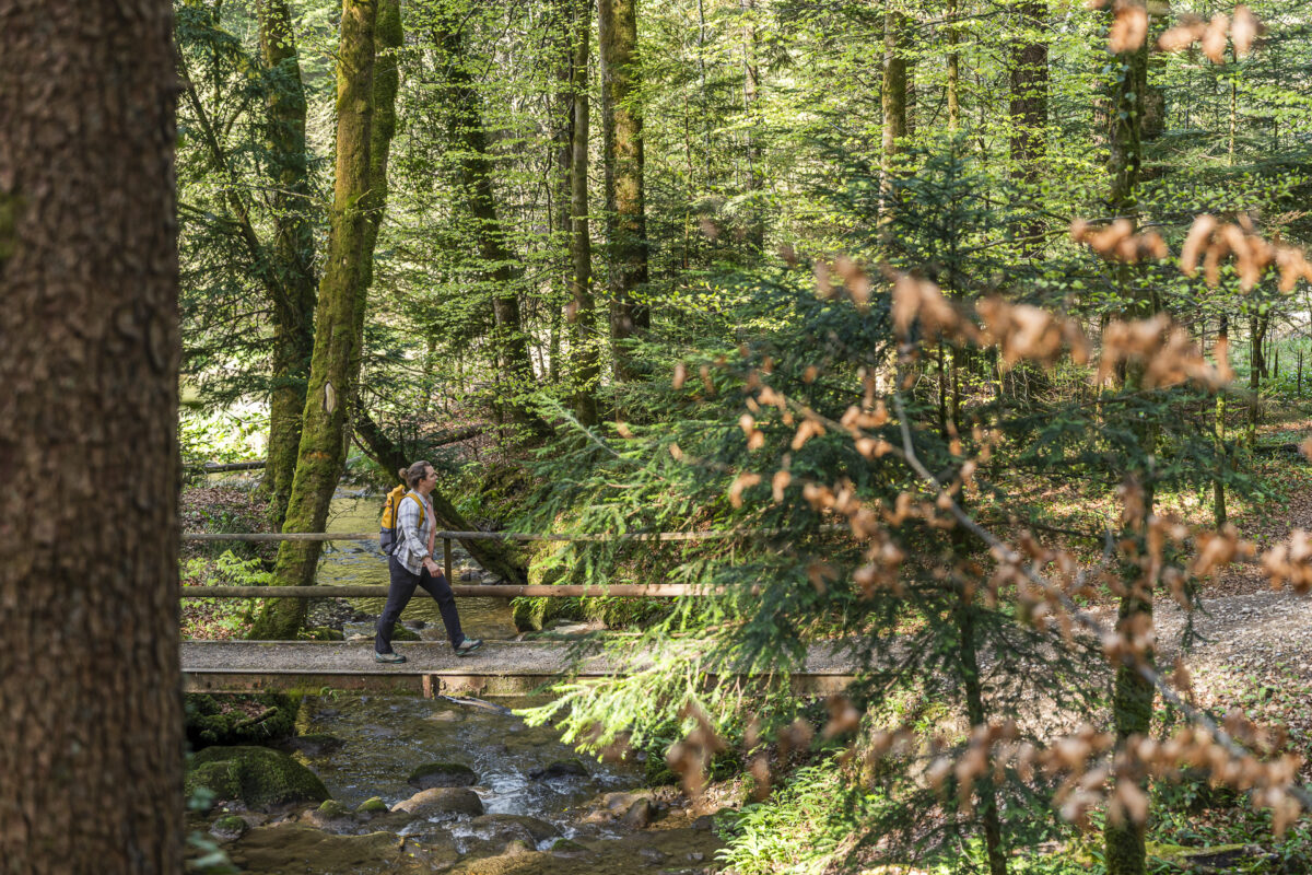 Wanderweg entlang der Sihl