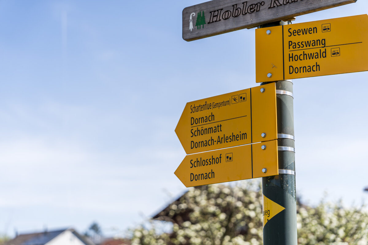 Wegweiser Schartenflue