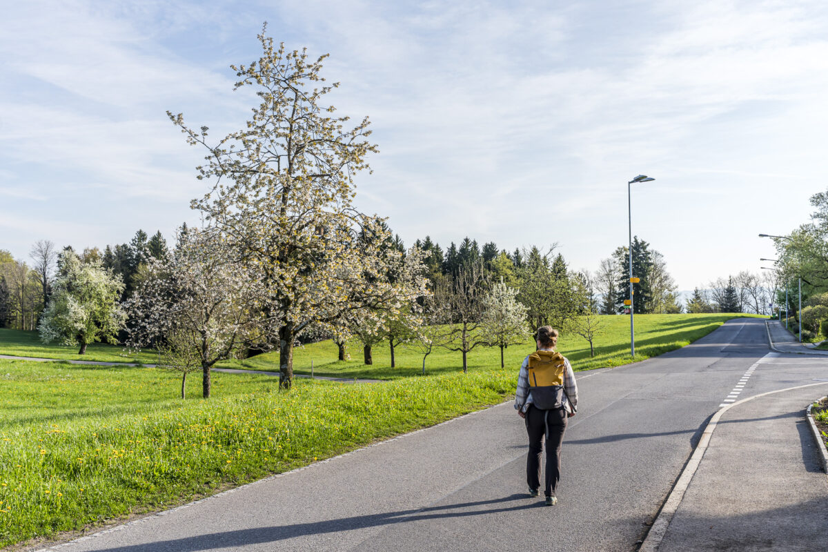Wandern in Menzingen