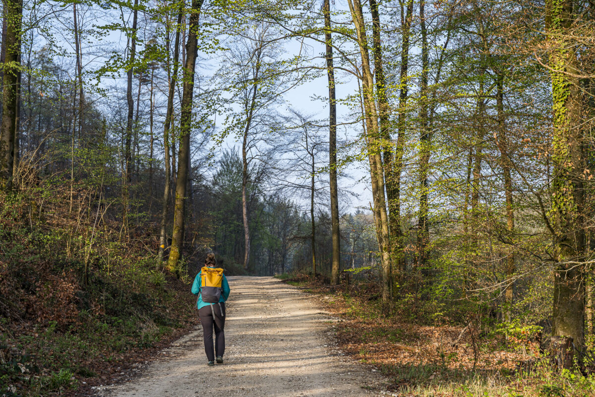 Wanderweg von Liestal nach Nuglar