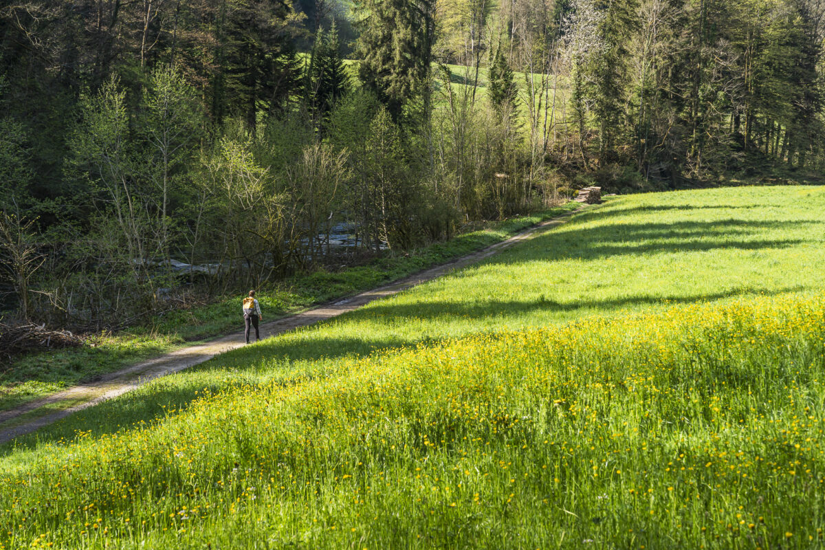Wanderweg vom Sihlsprung nach Sihlbrugg