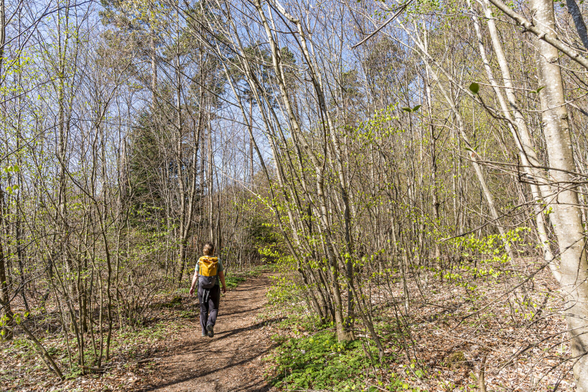Wanderweg zur Schartenflue
