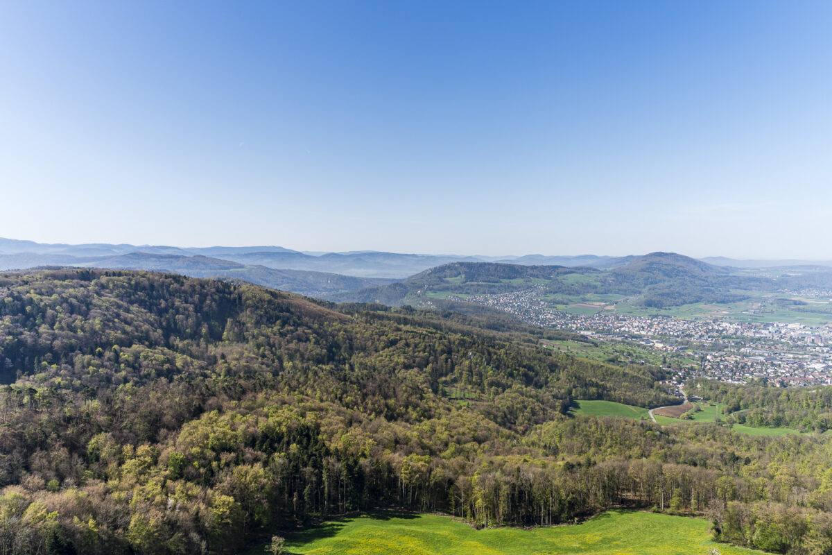 Aussicht Schartenflue, Gempenturm