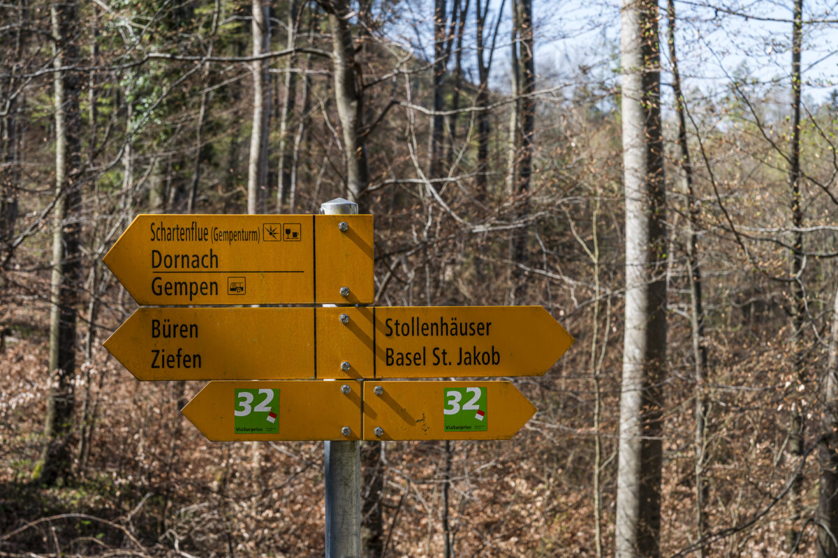 Wegweiser Via Surprise