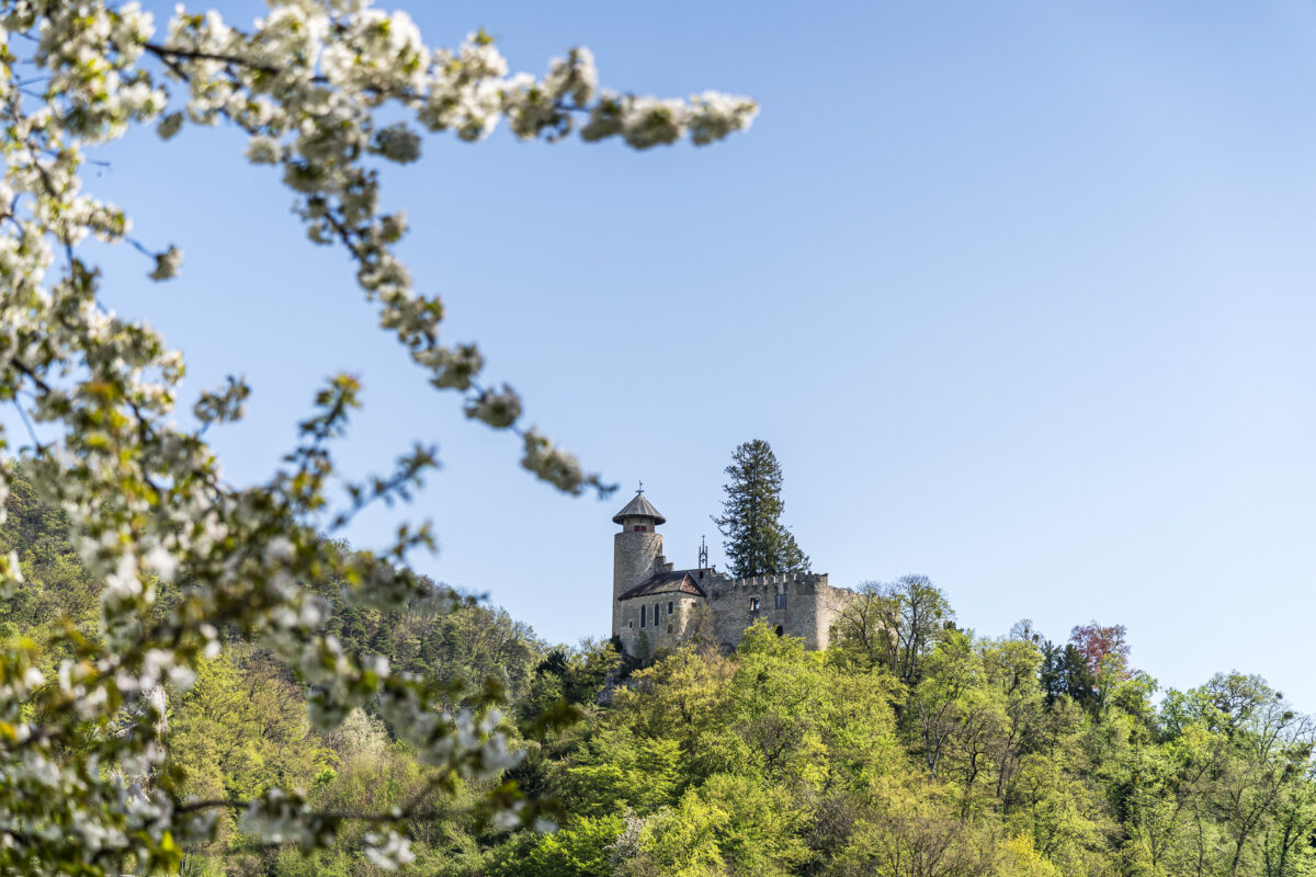 Burg Birseck in Arlesheim