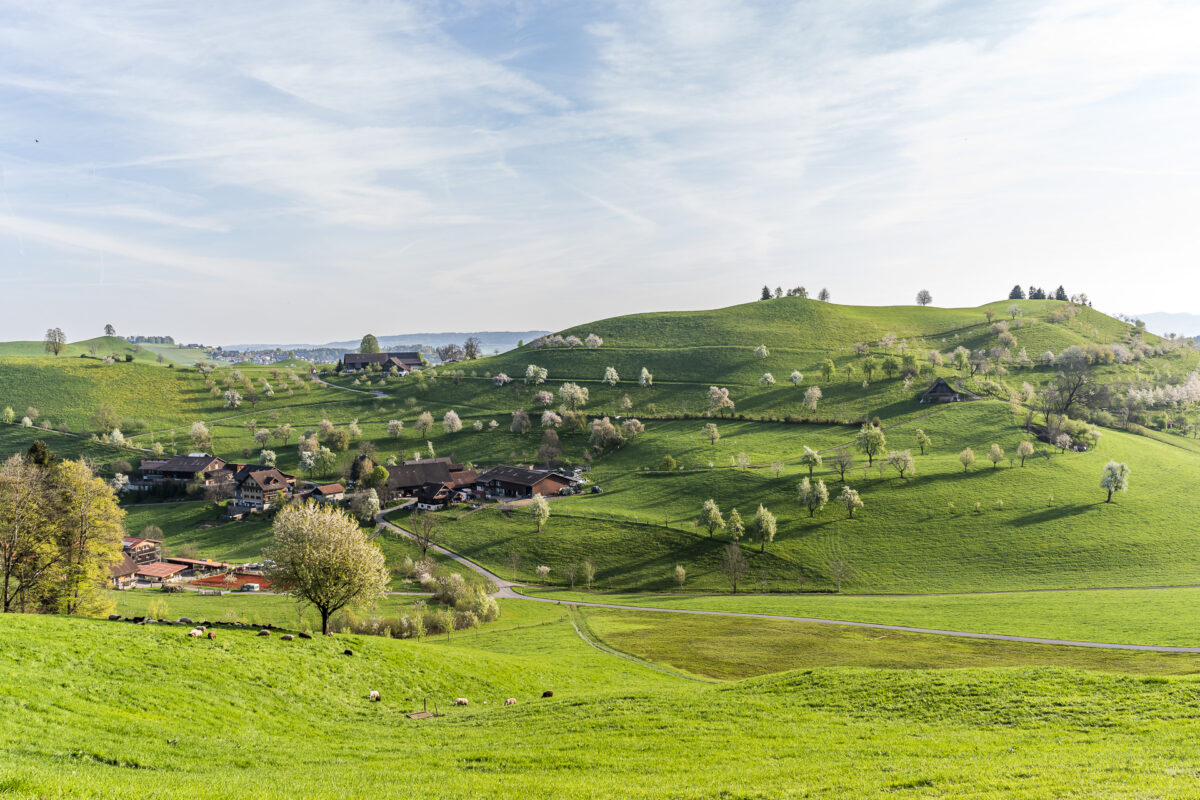 Winzwilen bei Menzingen