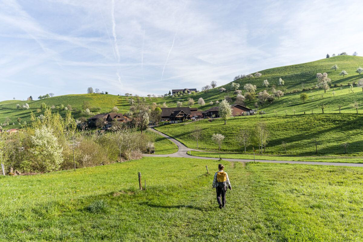 Wanderweg vom Menzingen zum Sihlsprung