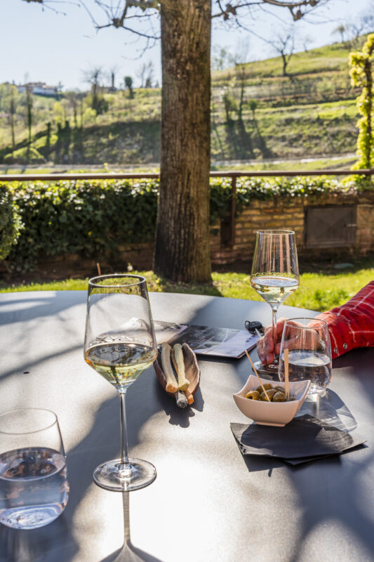Aperitivo im Garten vom Giarvino Guest House