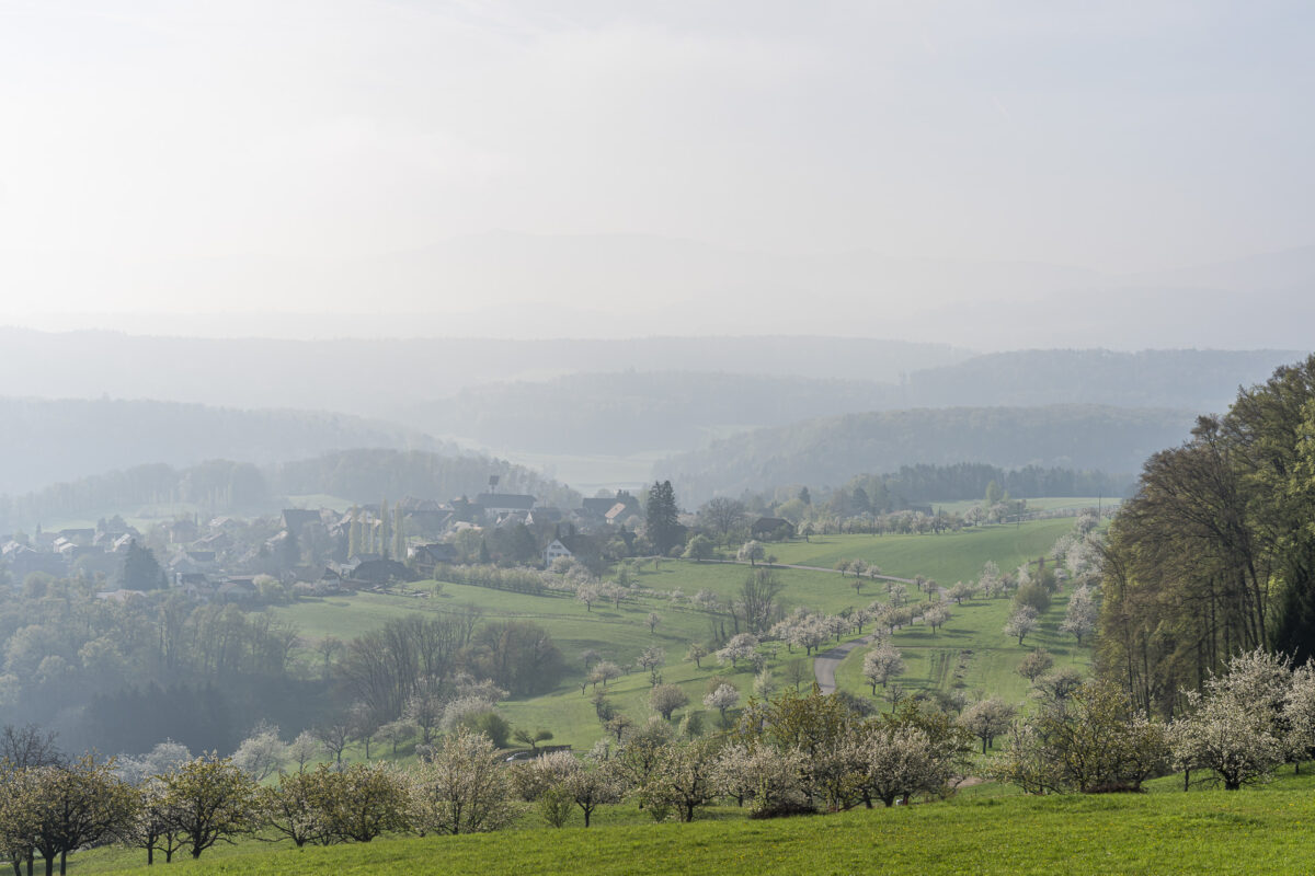 Aussicht von Nuglar nach St. Pantaleon