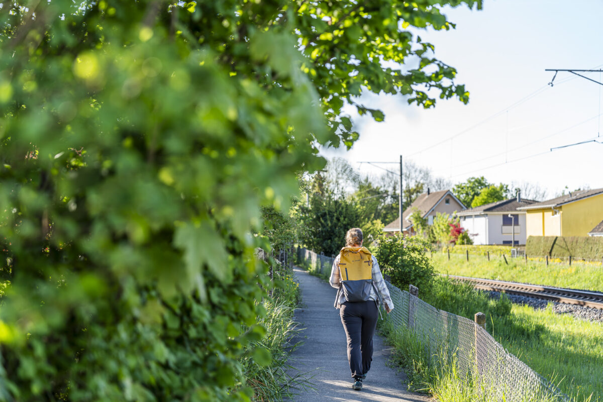 Wanderweg durch Dachsen