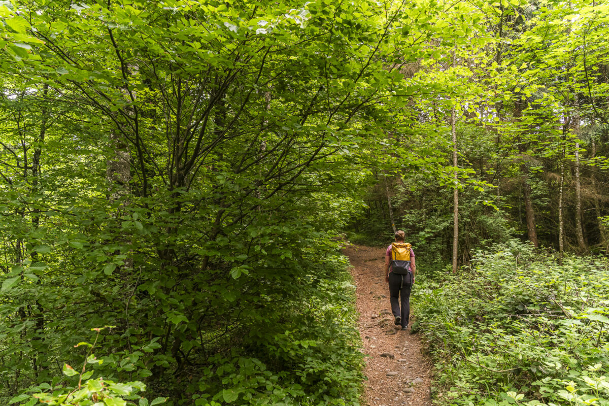 Wanderwege in Baden