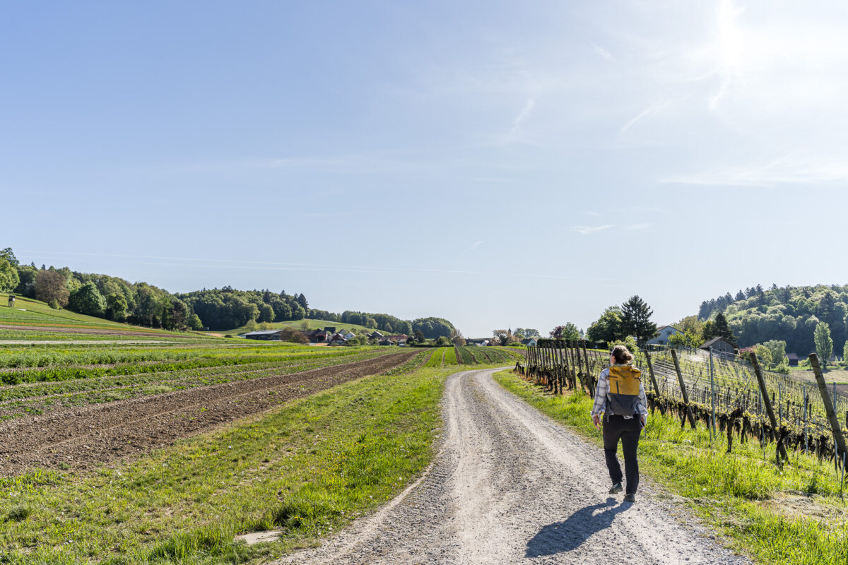 Wanderung Wildesbuch