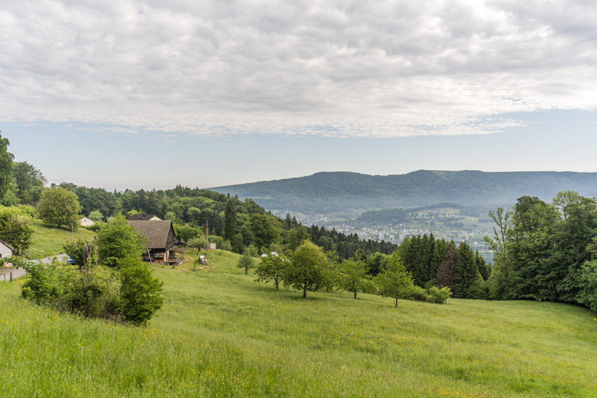 Rüsler bei Neuenhof