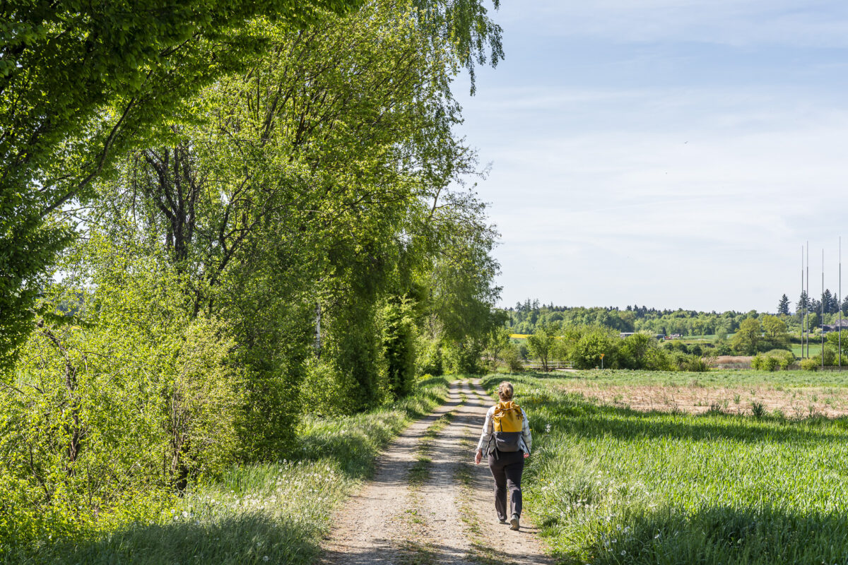 Zürcher Weinland Weg
