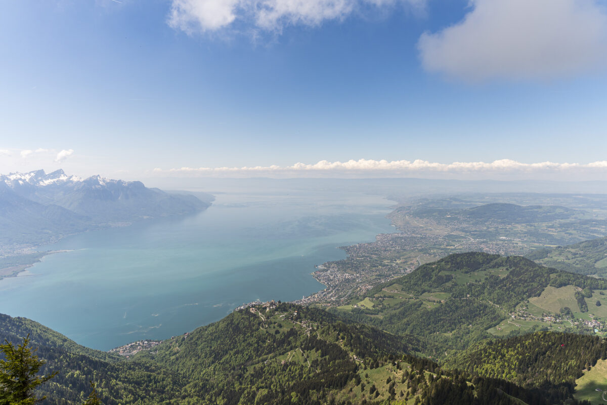 Panorama vom Rochers de Naye
