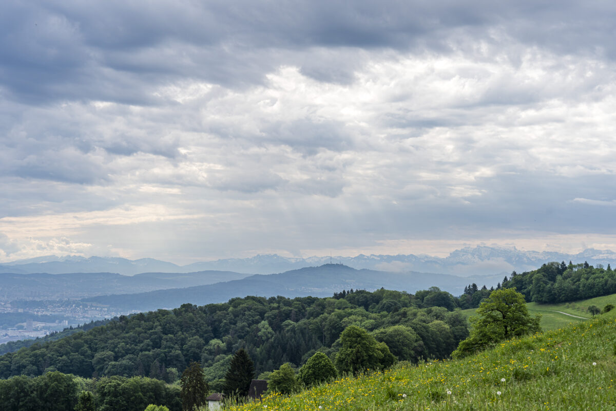 Panoramablick Richtung Uetliberg