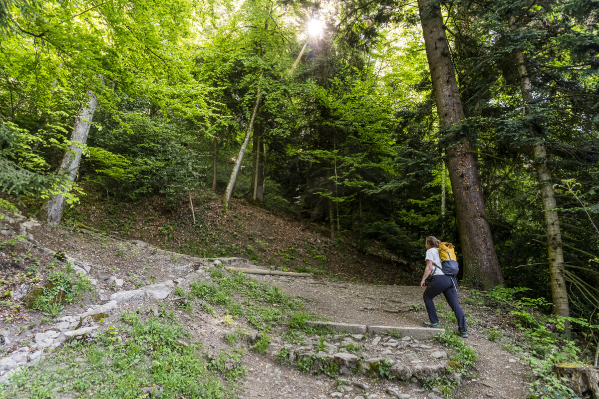 Wanderung Glion-Caux