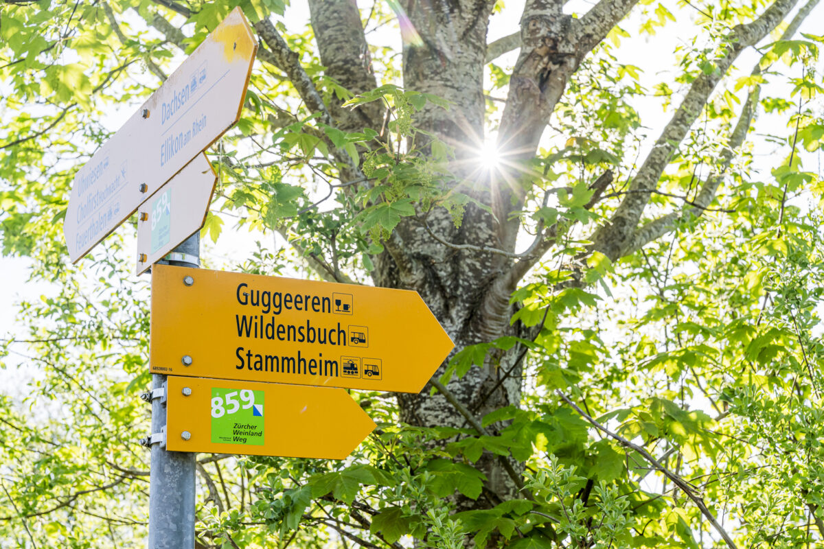 Wegweiser Zürcher Weinland Weg