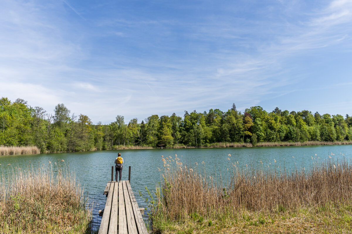 Husemersee bei Ossingen
