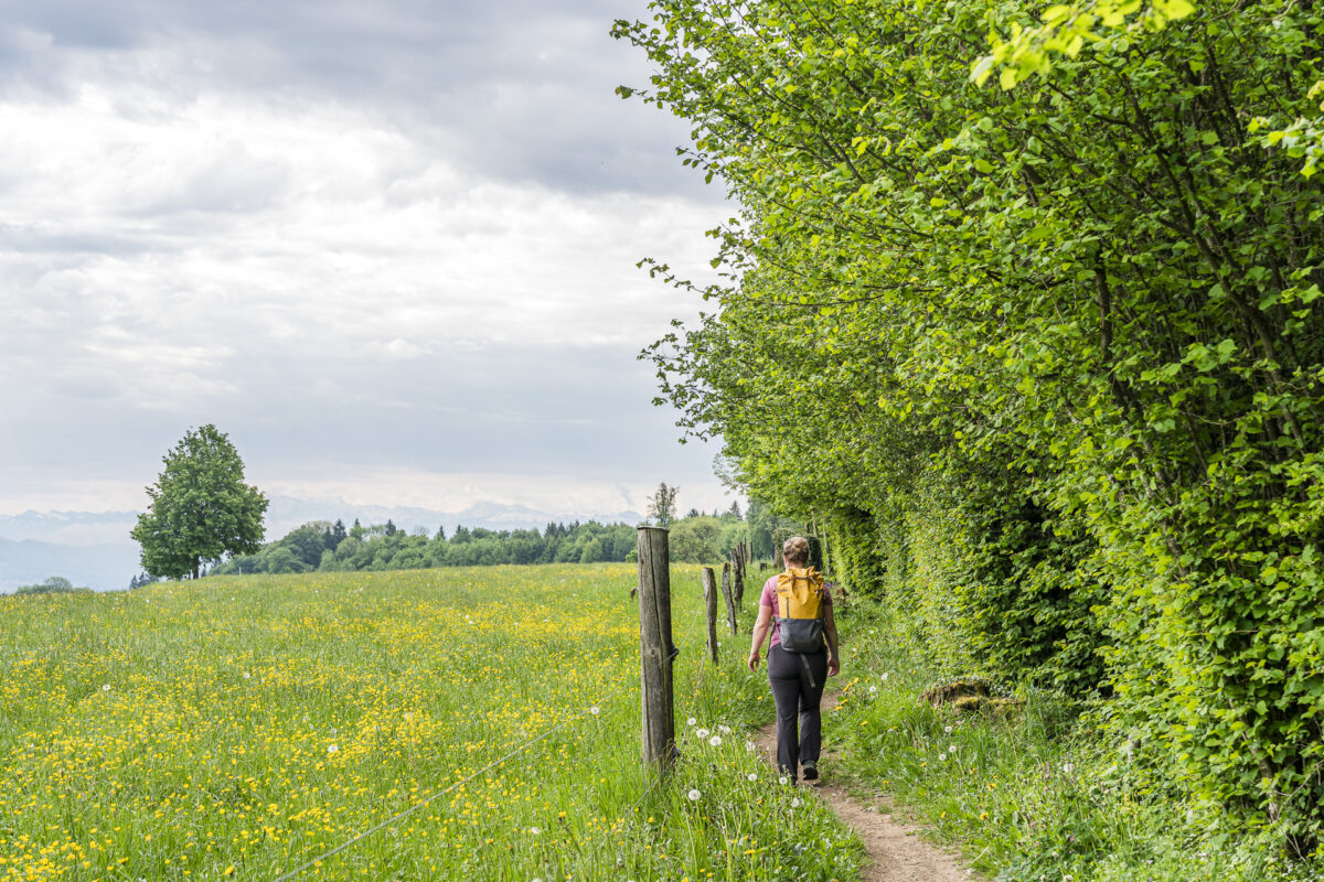 Wanderweg zum Egelsee