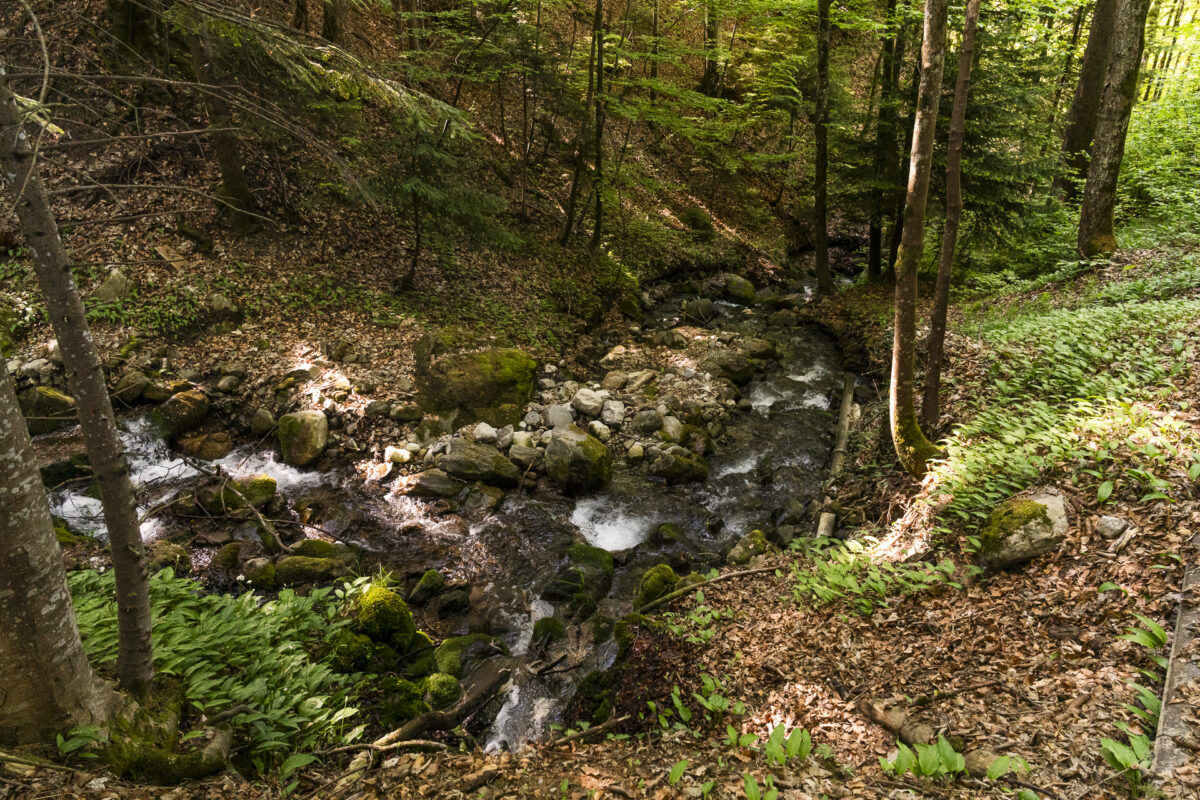 Gorge du Chaudron