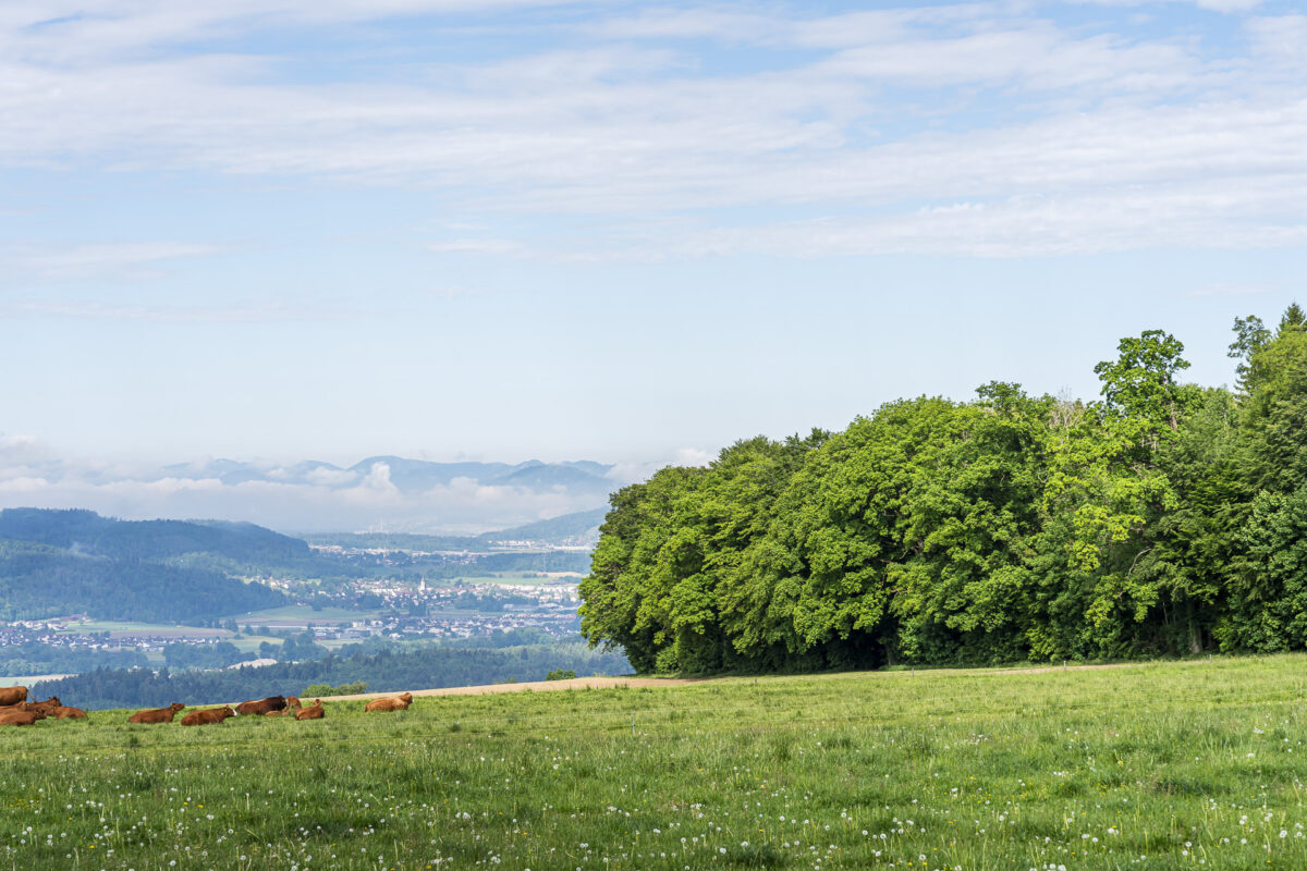 Blick von Sennhof ins Reusstal