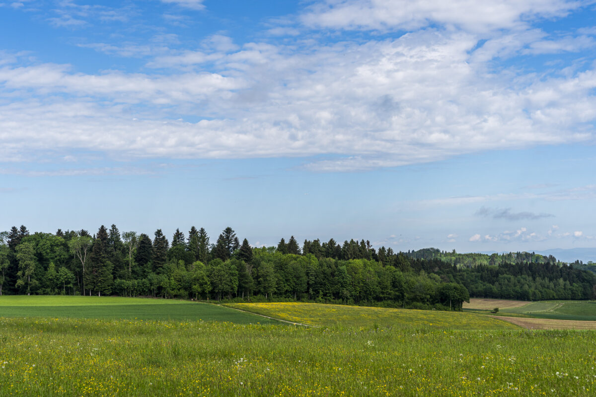 Felder und Wälder bei Heitersberg