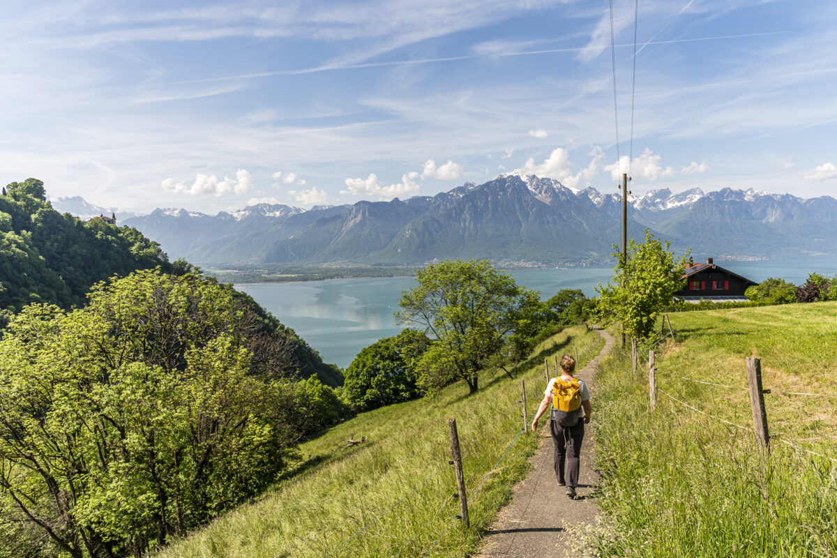 Wanderweg von les Avants nach Montreux