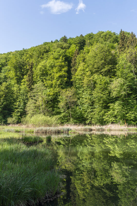 Egelsee im Limmattal