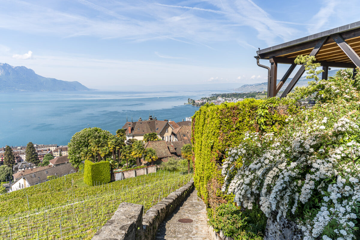 Wanderwege nach Montreux